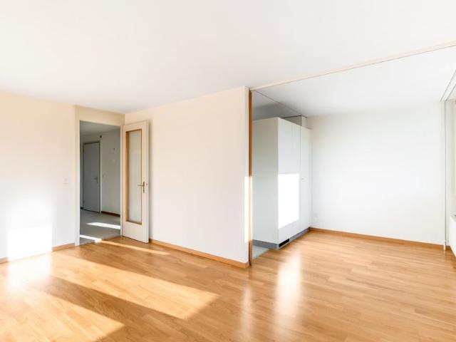 Apartment mieten in Birr, Aargau