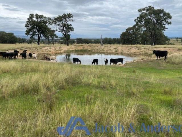 Cottage for sale in Coolah, New South Wales