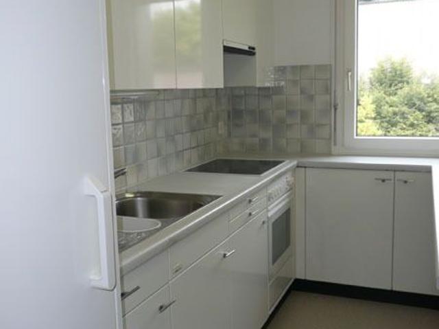 Apartment mieten in Greifensee, Zürich
