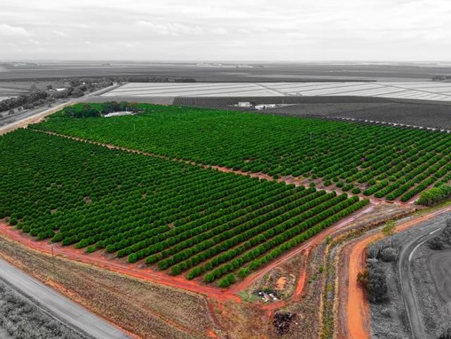 House for sale in Willbriggie, New South Wales