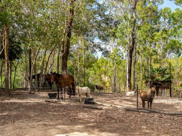 House for sale in Koah, Mareeba Shire