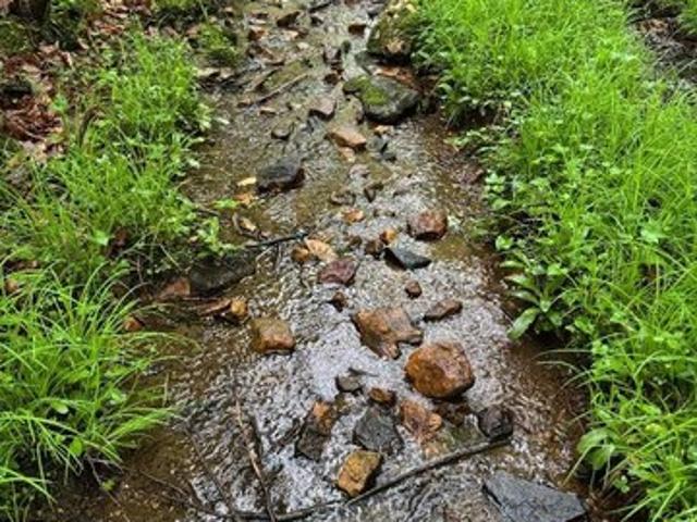 Land for sale in Virginia
