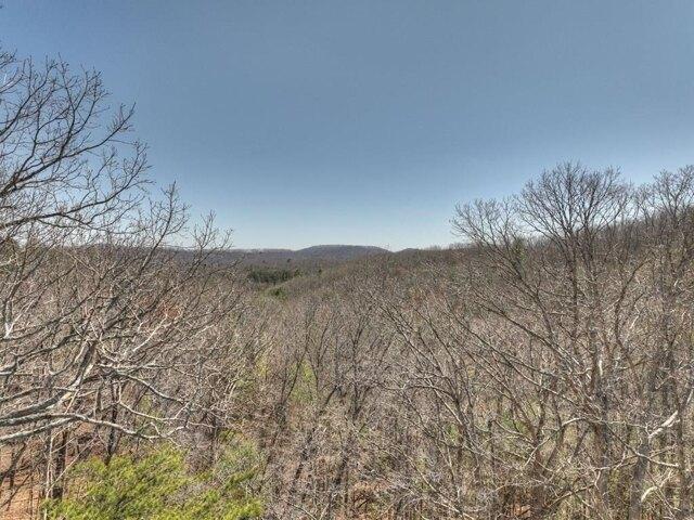Land for sale in Blairsville