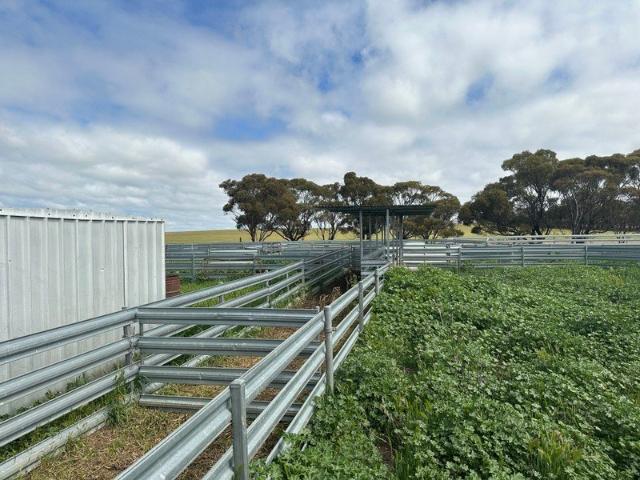 Cottage for sale in Nyabing, Western Australia