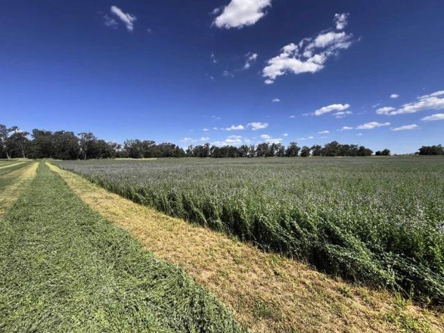 Property for sale in Billimari, New South Wales