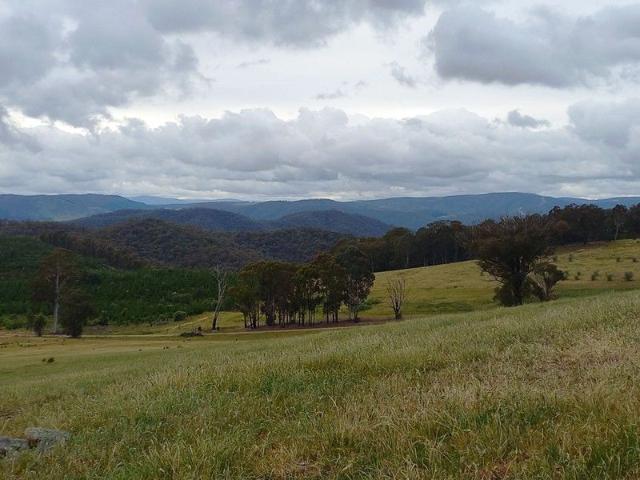 Land for sale in Lankeys Creek, New South Wales