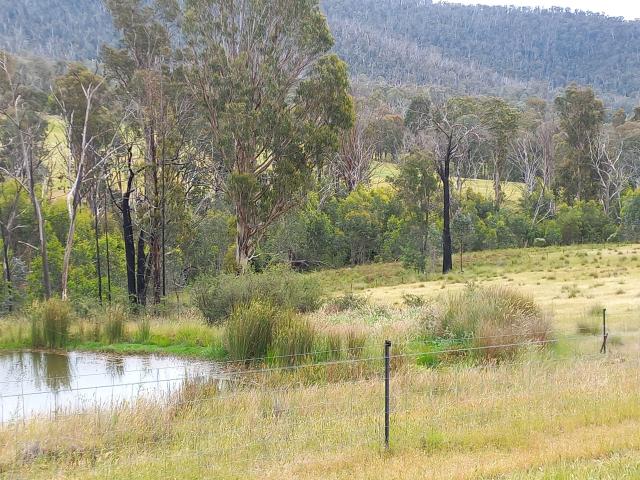 Property for sale in Lankeys Creek, New South Wales