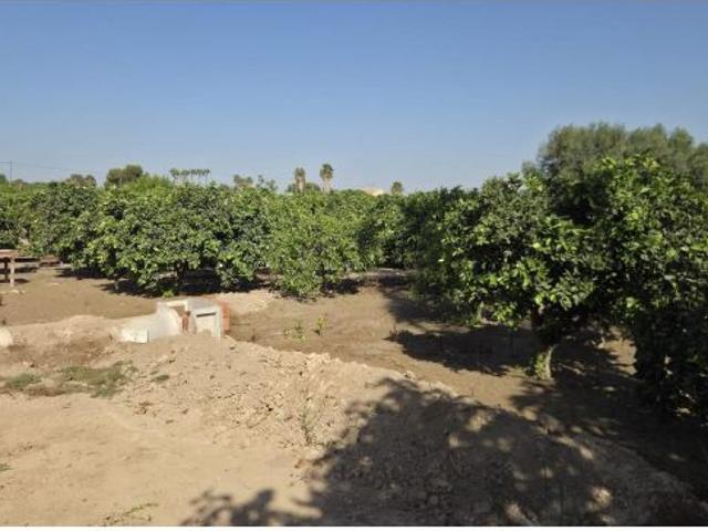 Casa en venta en el Baix Segura / La Vega Baja, Valencia