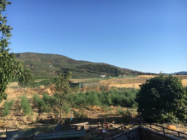 Casa en venta en Comarca de Loja, Andalucía