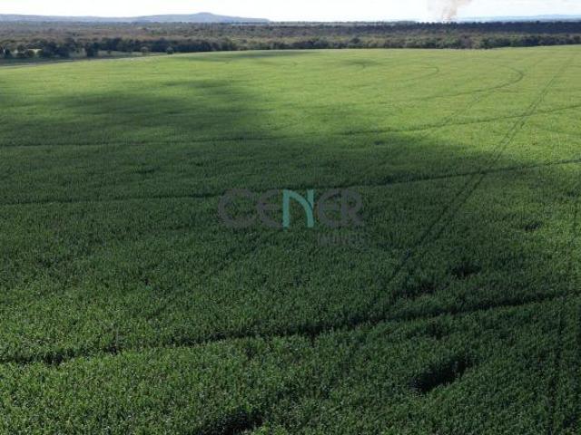 Sítio e chácara venda em Região Geográfica Imediata de Pirapora, Pirapora