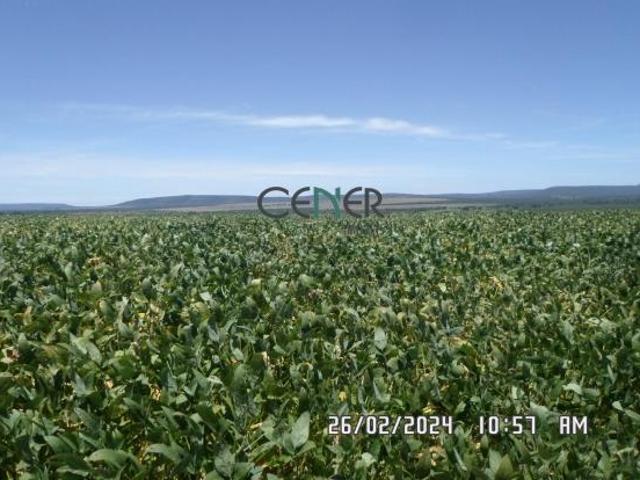 Sítio e chácara venda em Região Geográfica Imediata de Curvelo, Corinto