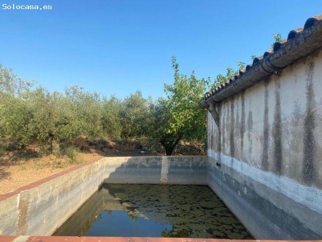 Casa en venta en la Miliana, Montsià