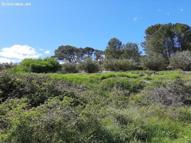 Local Comercial en venta en el Comtat, Valencia