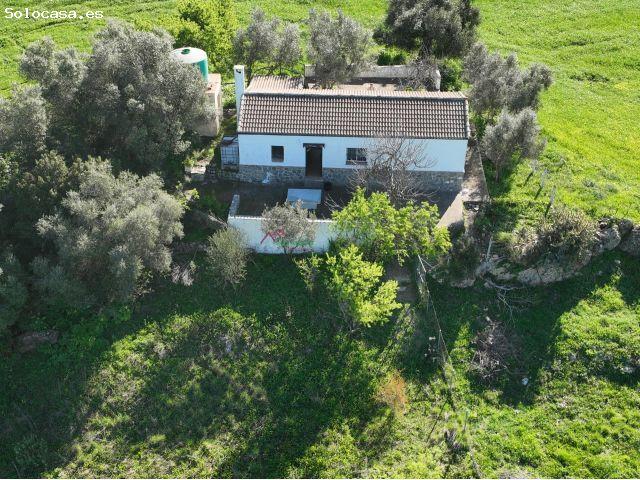 Local Comercial en venta en Sierra de Cádiz, Andalucía