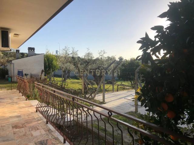 Casa venda em Castelo Branco
