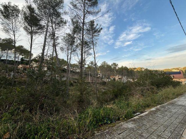 Local Comercial en venta en Can Macià, Garraf