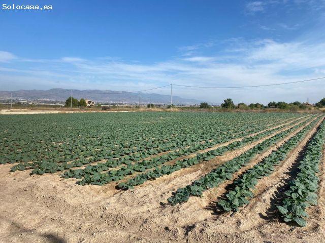 Local Comercial en venta en Altobordo, Alto Guadalentín