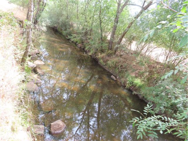 Quinta venda em Castelo Branco