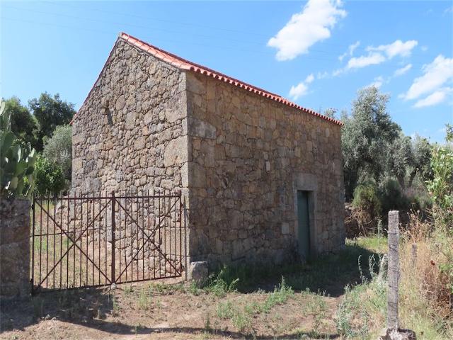 Quinta venda em Castelo Branco