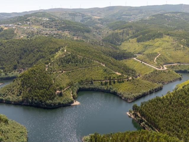 Quinta venda em Tomar, Santarém