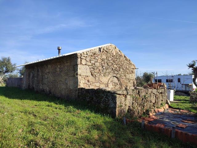 Terreno venda em Castelo Branco