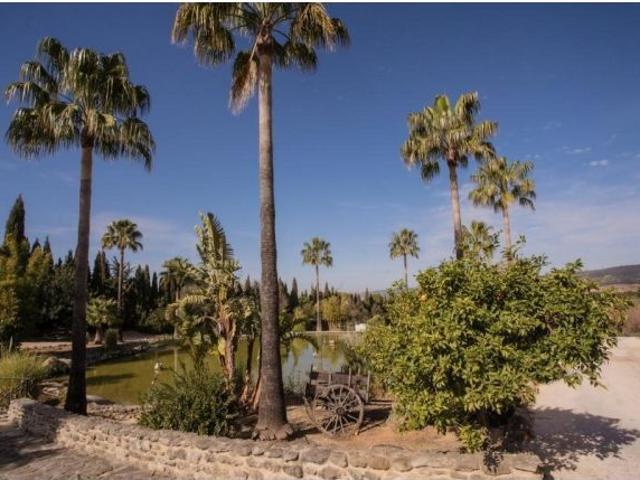 Casa en venta en Sierra de Cádiz, Andalucía