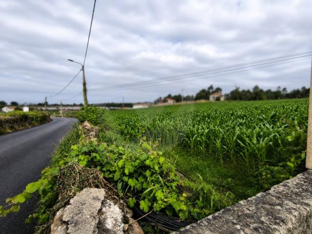 Terreno venda em Vila Do Conde, Porto