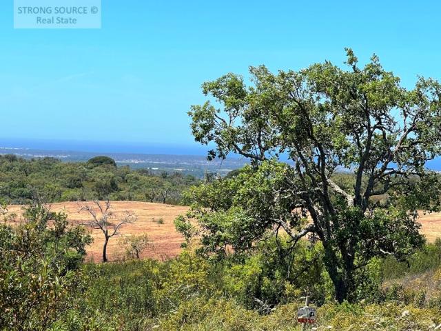 Terreno venda em Santiago Do Cacém, Setúbal