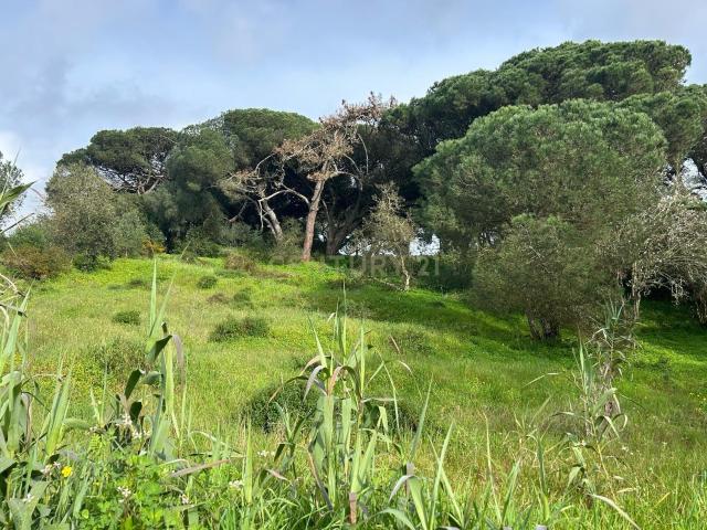 Terreno venda em Sesimbra (Castelo), Sesimbra