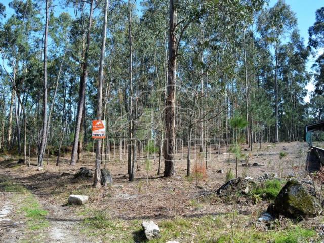 Terreno venda em Boalhosa, Viana Do Castelo