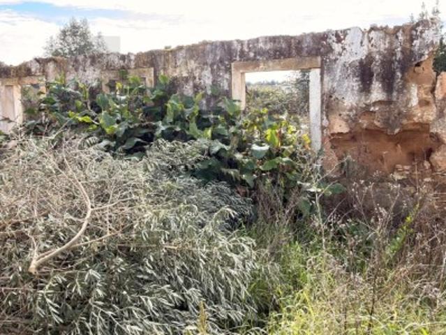 Terreno venda em Rio Maior, Santarém