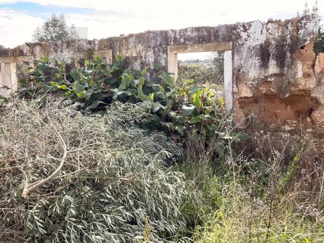 Terreno venda em Rio Maior, Santarém