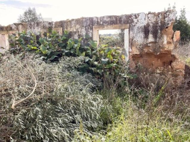 Terreno venda em Rio Maior, Santarém