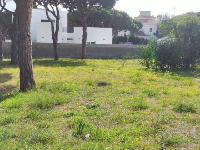 Terreno en alquiler en La Barrosa, Bahía de Cádiz