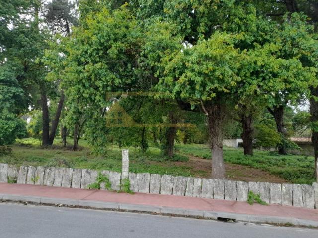 Terreno venda em Monção, Viana Do Castelo