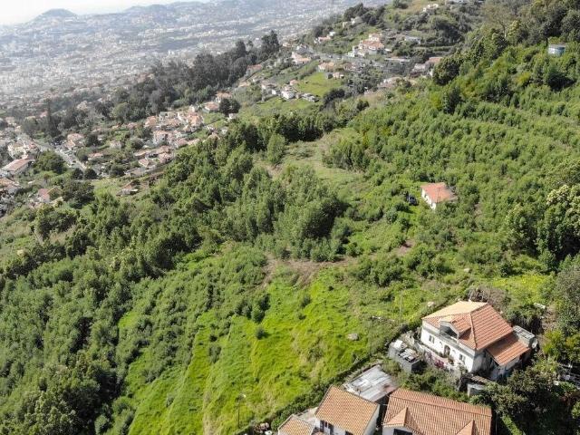 Apartamento venda em Palheiro Ferreiro, Funchal