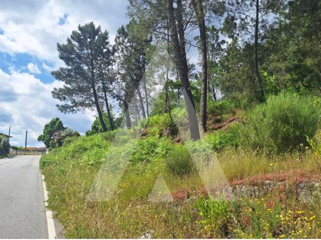 Terreno venda em Viseu