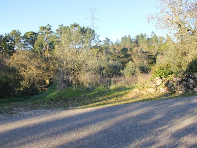 Terreno venda em Bruscos, Condeixa-a-nova