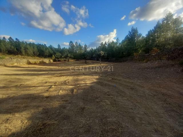 Terreno venda em Castelo Branco, Penamacor