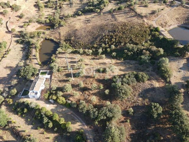 Terreno venda em São Bartolomeu De Messines, Faro