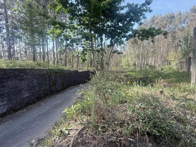 Terreno venda em Arca e Ponte de Lima, Boalhosa