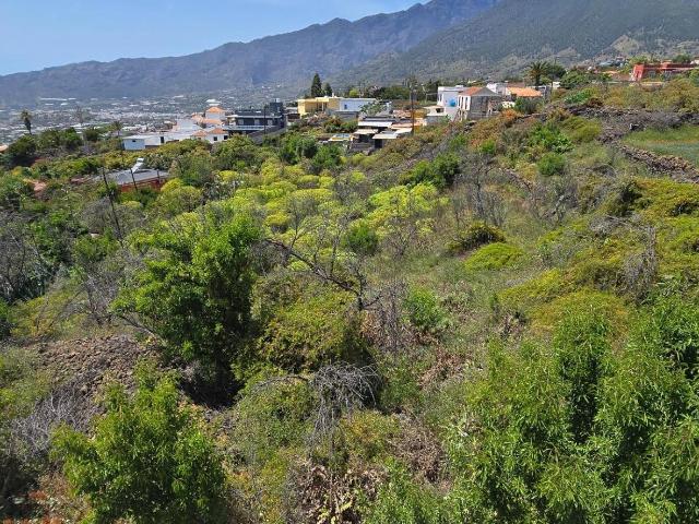 Terreno en venta en Los Llanos De Aridane, Canarias