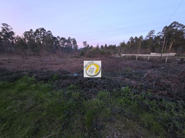Terreno venda em Santa Maria Da Feira, Aveiro