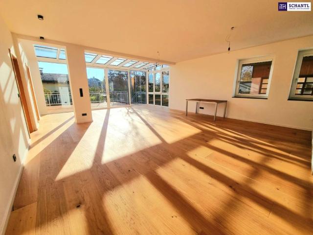 Apartment mieten in Floridsdorf, Wien