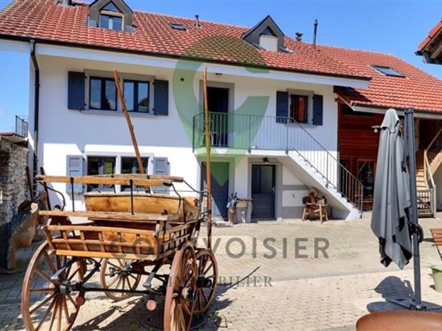 Einfamilienhaus kaufen in Mézières (VD), Waadt