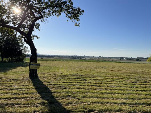 Landwirtschaft kaufen in Hornstorf, Mecklenburg-Vorpommern