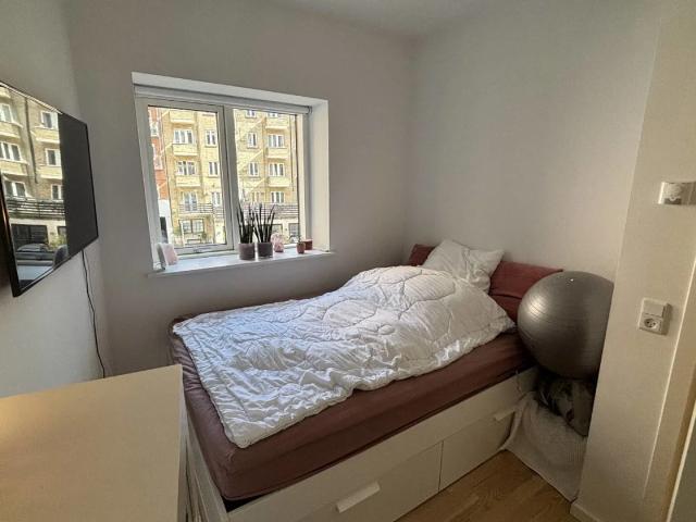 Lejlighed til leje i Aalborg, Brønderslev-Dronninglund