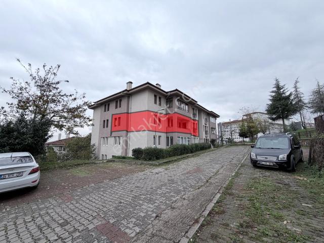 Düzce Merkez, Düzce içerisinde kiralık mülk
