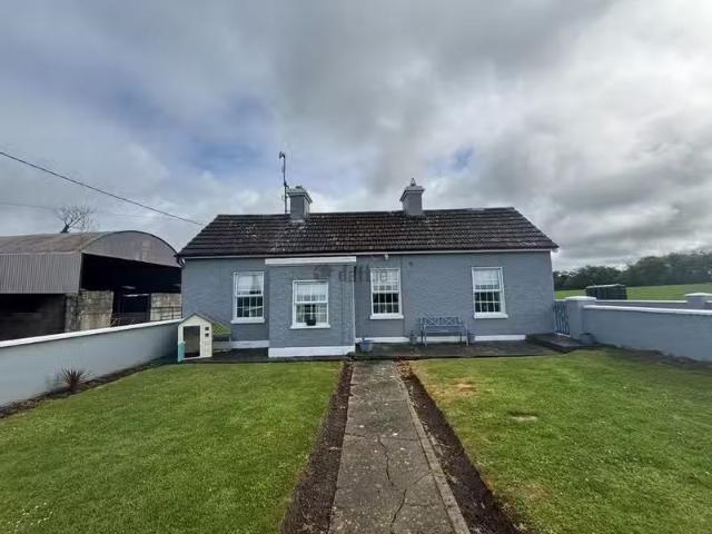 House to rent