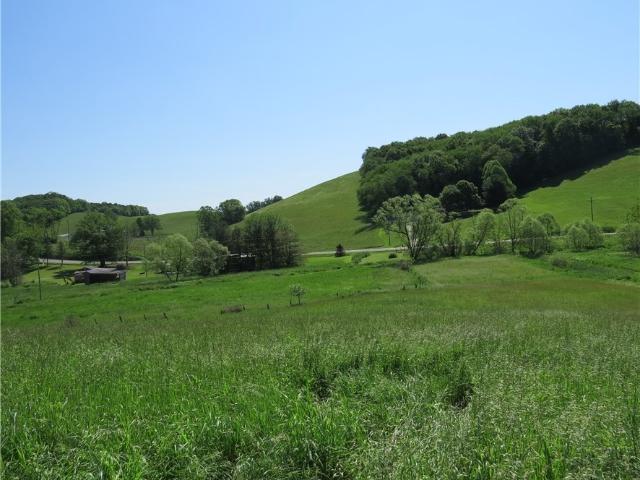 Land for sale in Dellroy, Ohio